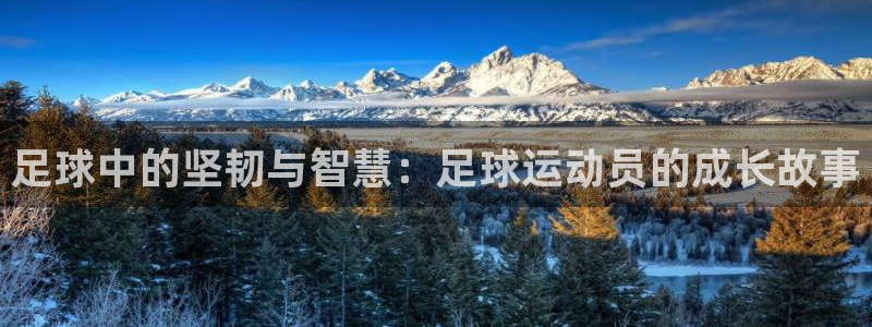 足球中的坚韧与智慧：足球运动员的成长故事