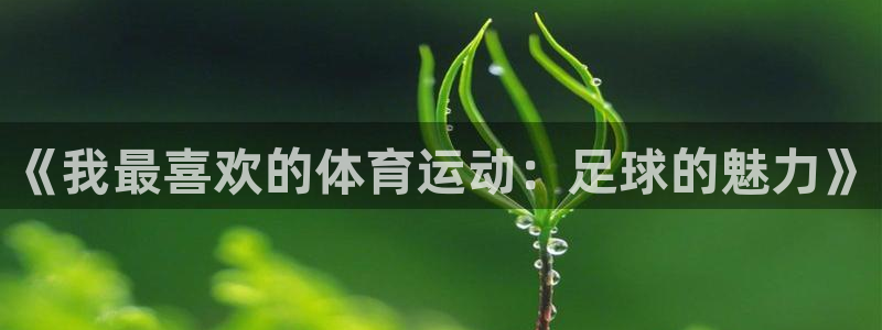 《我最喜欢的体育运动：足球的魅力》