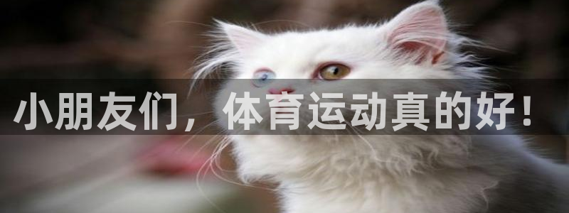 小朋友们，体育运动真的好！