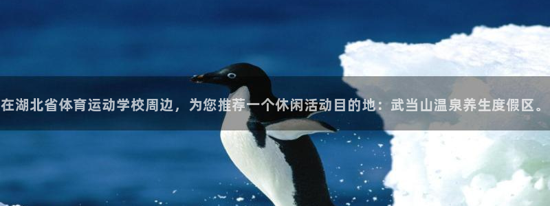 在湖北省体育运动学校周边，为您推荐一个休闲活动目的地：武当山温泉养生度假区。