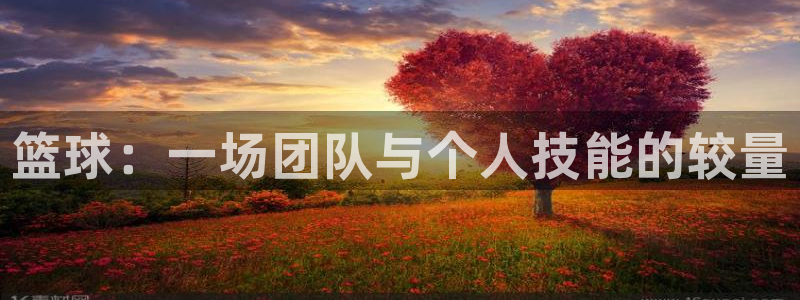 篮球：一场团队与个人技能的较量