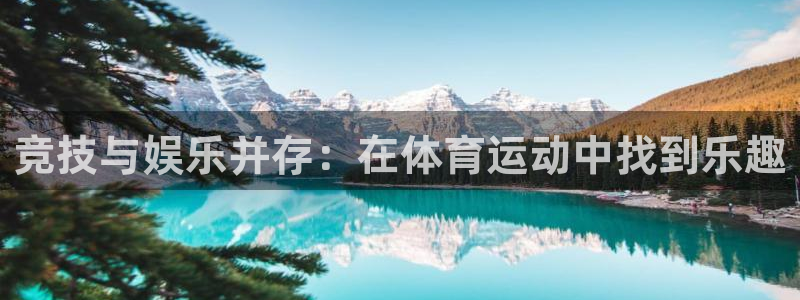 竞技与娱乐并存：在体育运动中找到乐趣