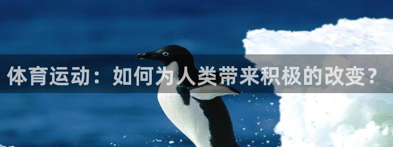 体育运动：如何为人类带来积极的改变？