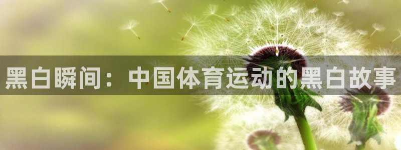 黑白瞬间：中国体育运动的黑白故事