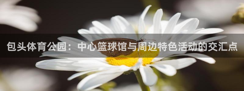 包头体育公园：中心篮球馆与周边特色活动的交汇点