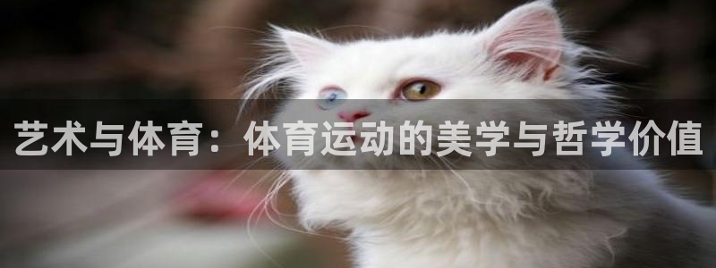 艺术与体育：体育运动的美学与哲学价值
