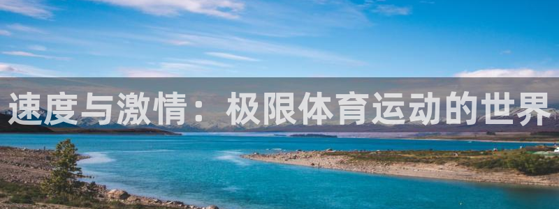 速度与激情：极限体育运动的世界