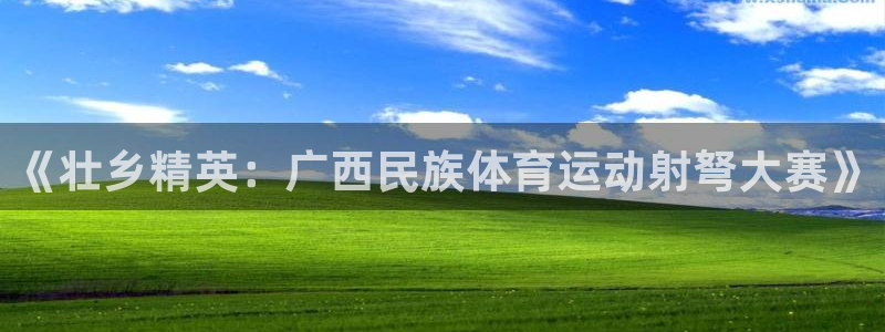 《壮乡精英：广西民族体育运动射弩大赛》