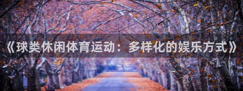 《球类休闲体育运动：多样化的娱乐方式》