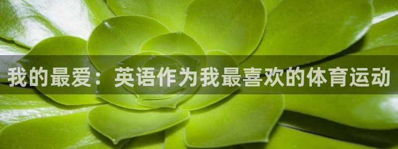 我的最爱：英语作为我最喜欢的体育运动