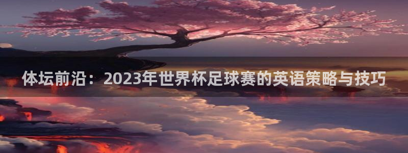 体坛前沿：2023年世界杯足球赛的英语策略与技巧