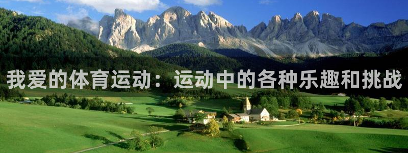 我爱的体育运动：运动中的各种乐趣和挑战